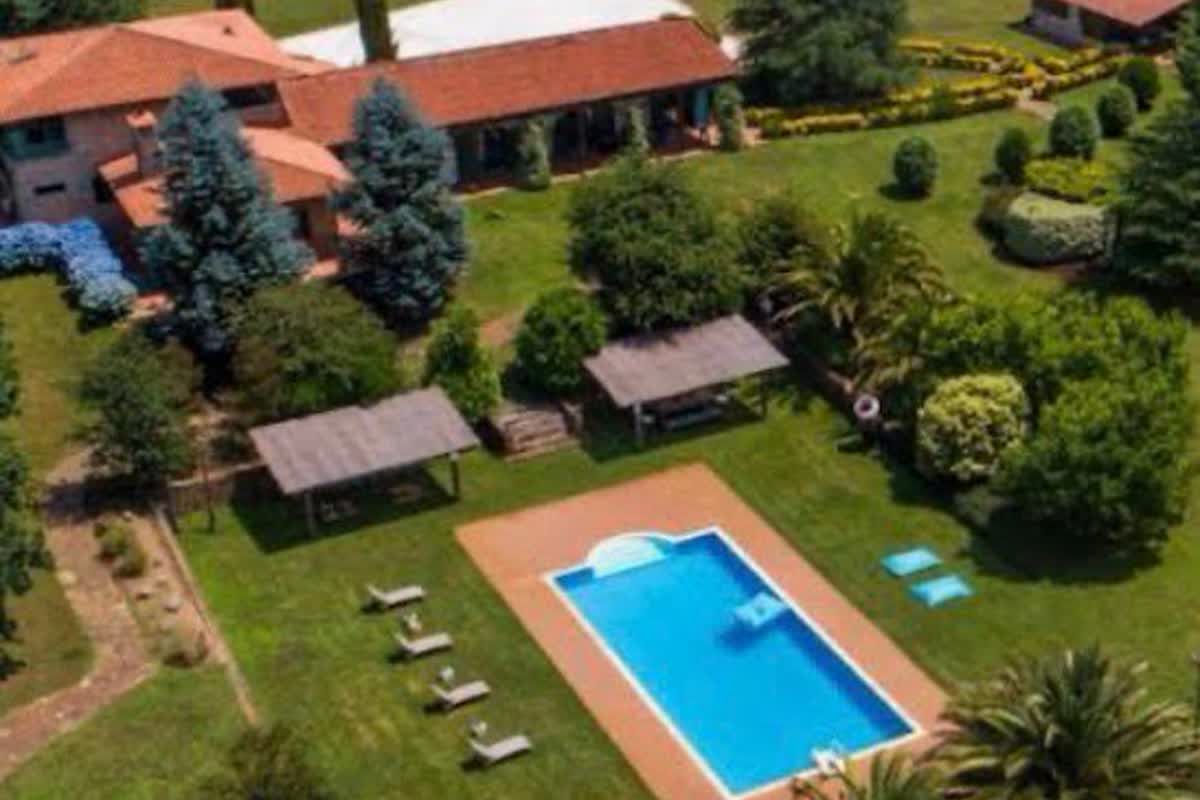 O Pino