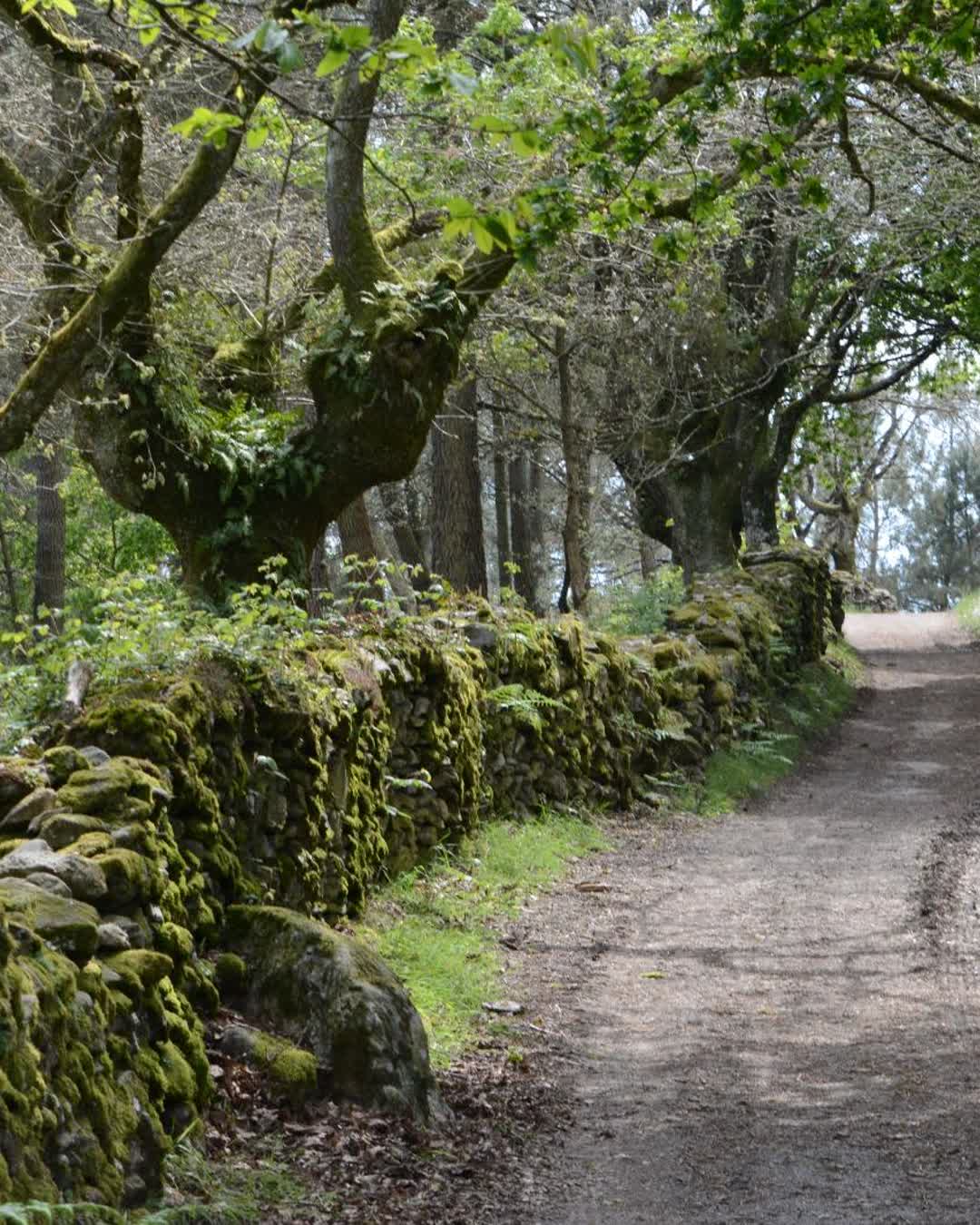 Bosques, corredoiras y aldeas gallegas que parecen de otro tiempo