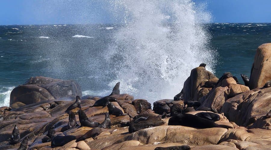 Caminatas por las dunas y lobos marinos en las rocas